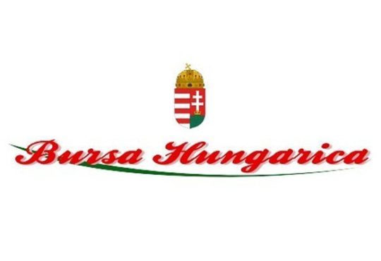 Bursa Hungarica Ösztöndíjpályázat