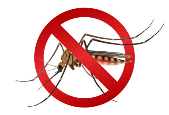 Tájékoztató földi szúnyoggyérítésről Kőröshegyen